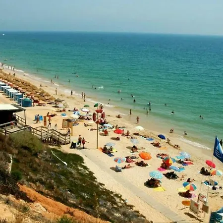 Da Falesia Albufeira